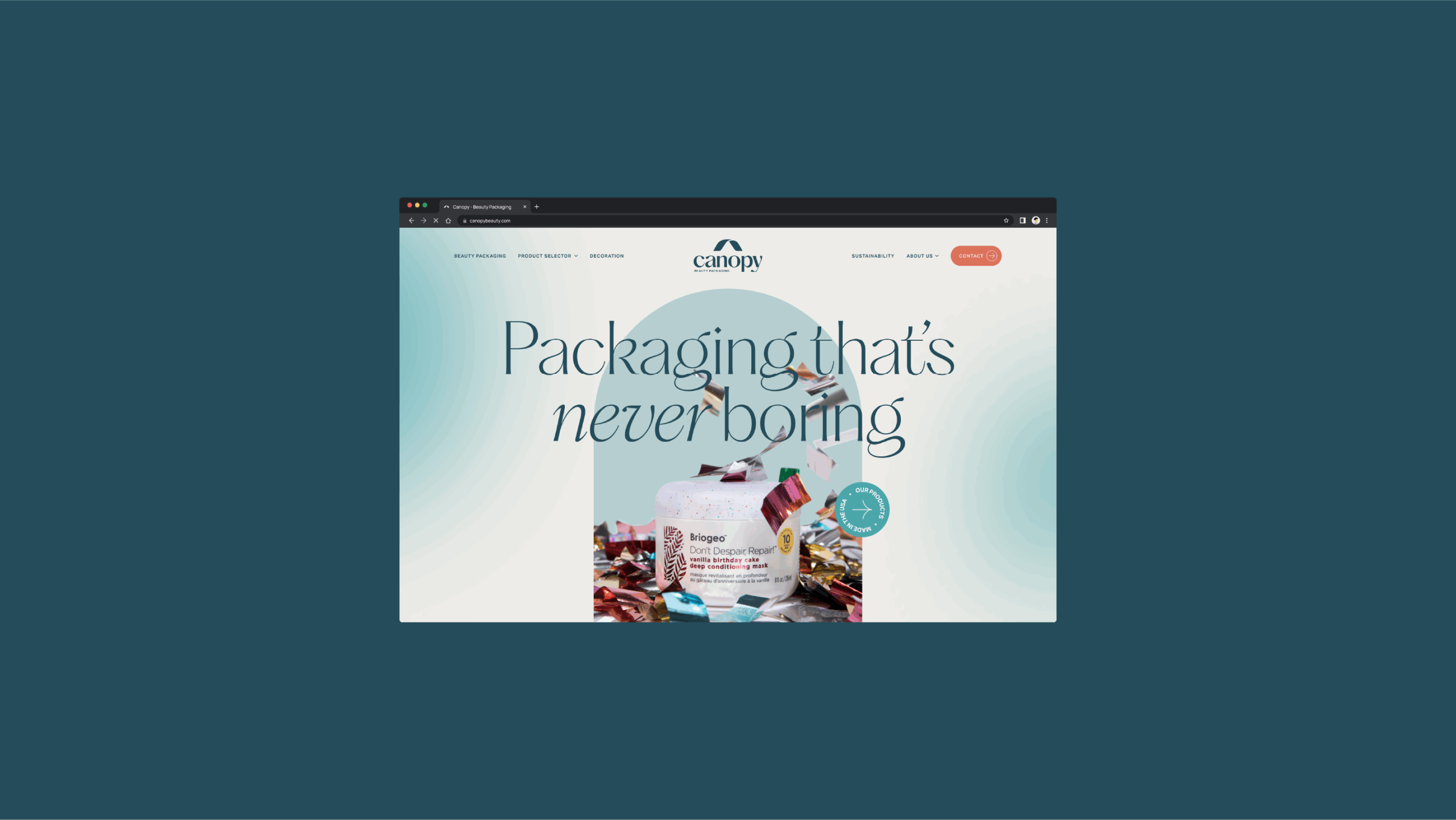 Becoming Canopy: Our Journey to a Bold New Brand Identity